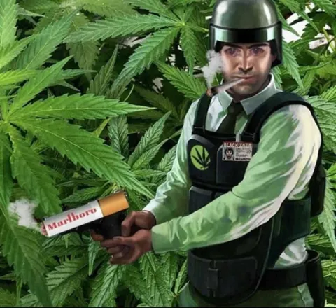 Security Guard in a Cannabis Field