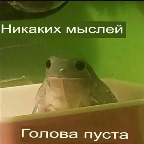 Лягушка с пустой головой