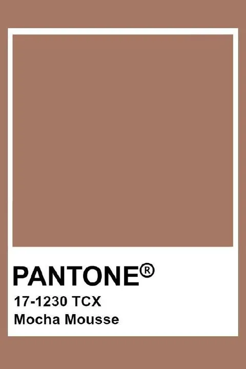 Mocha Mousse Pantone Swatch