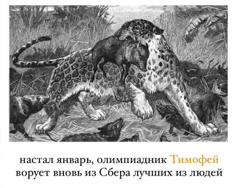 Олимпиадник Тимофей ворует лучших