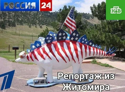Репортаж из Житомира