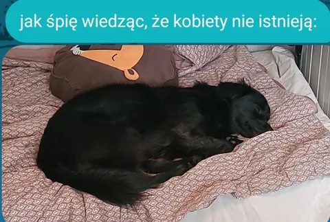 Śpię, wiedząc że kobiety nie istnieją