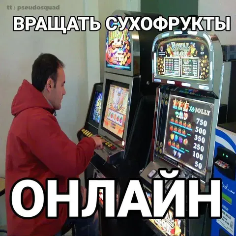 Вращать сухофрукты онлайн