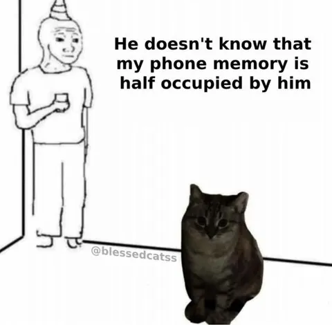 Phone Memory Occupied by Cat