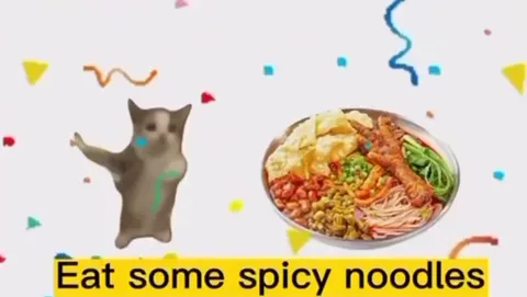 Spicy Noodles Send Cat to Hospital
