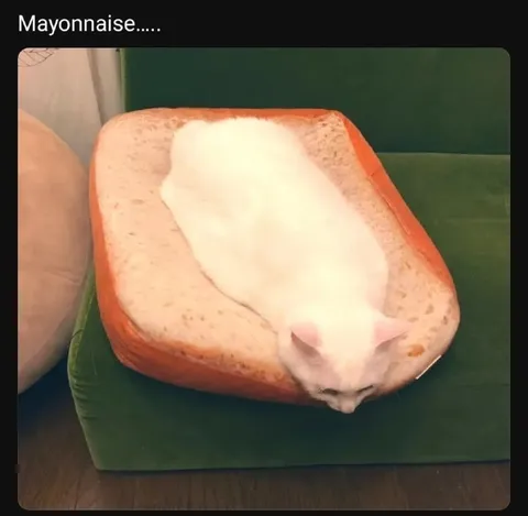Mayonnaise Cat Loaf