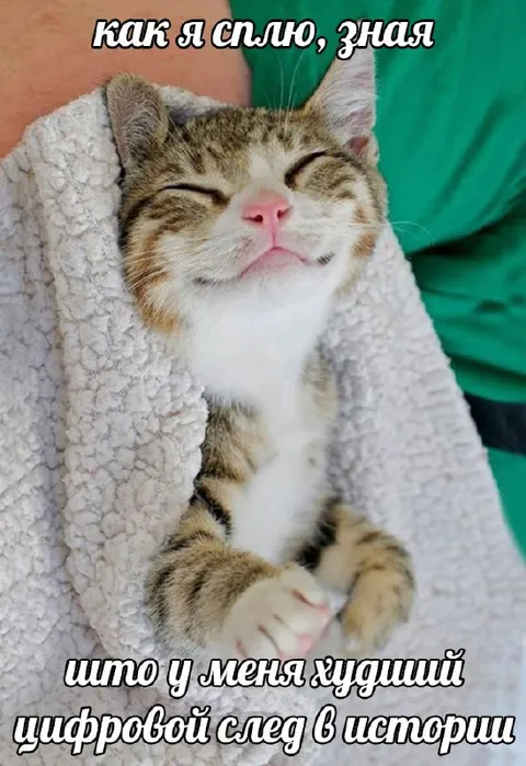 Кот спит без цифрового следа