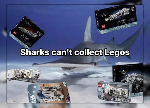 Sharks Can't Collect Legos