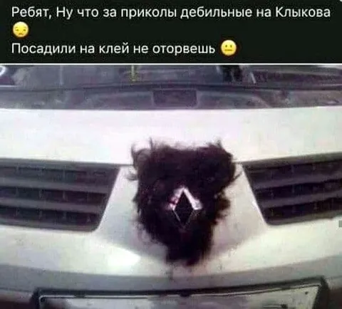 Посадили на клей