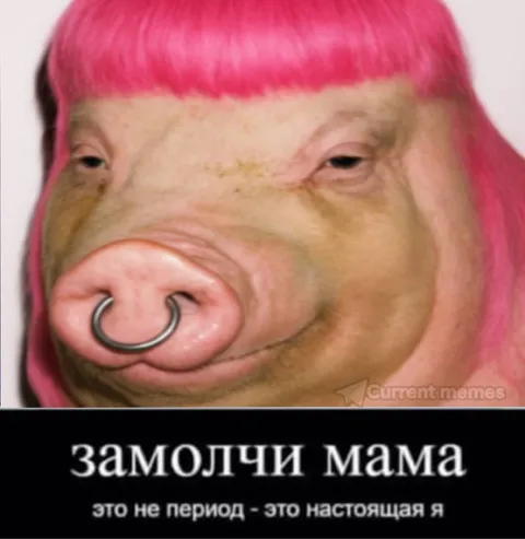 Свинья с розовыми волосами