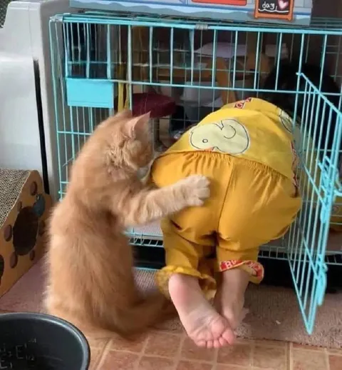 Кот обнимает ребёнка