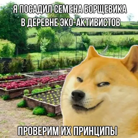 Проверим принципы экоактивистов