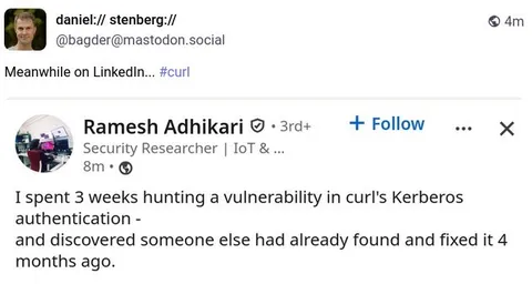 Meanwhile on LinkedIn Vulnerability Hunting