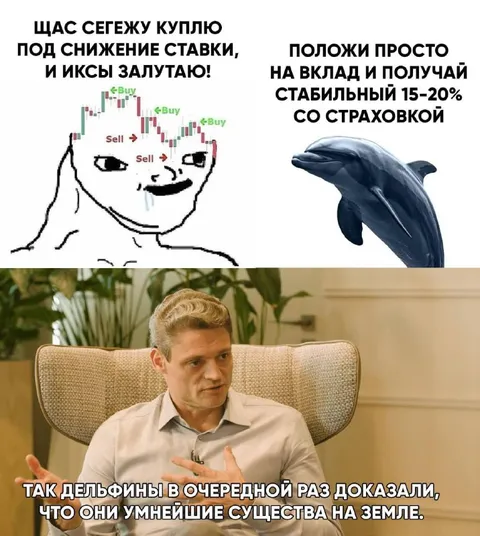 Дельфины умнее инвесторов