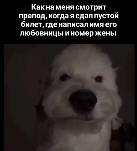 Препод увидел пустой билет