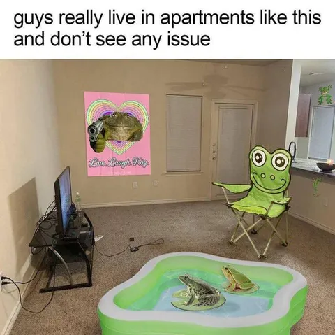 Frog Apartment With No Issues