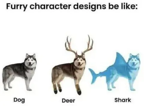 Furry Character Designs Be Like