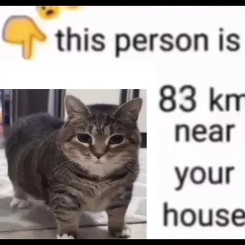 Cat Gets Closer to Your House