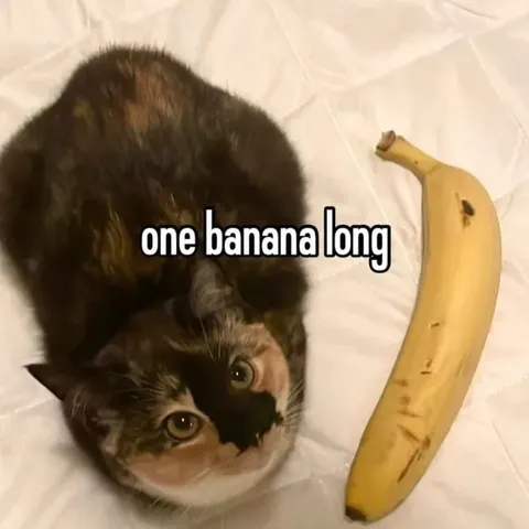 One Banana Long Cat