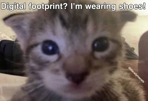 Digital Footprint Cat