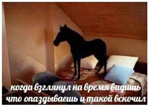 Когда опаздываешь и вскочил