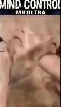 Mind Control Cat MKUltra