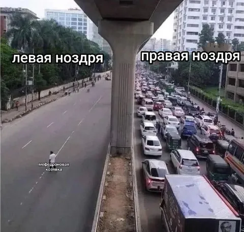 Левая и правая ноздря