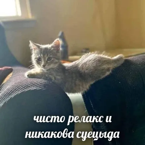 Чисто релакс и никакова суеицида
