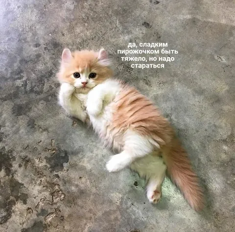Сладким пирожком быть тяжело