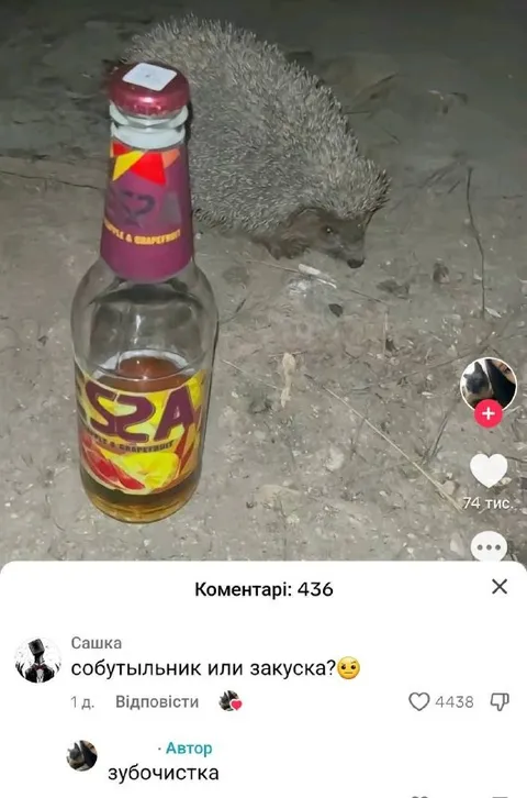 Ёжик как закуска к бутылке