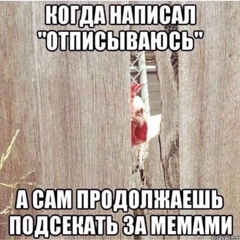 Когда написал «отписываюсь»