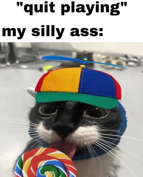 Quit Playing My Silly Ass