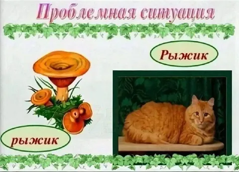 Проблемная ситуация: Рыжик