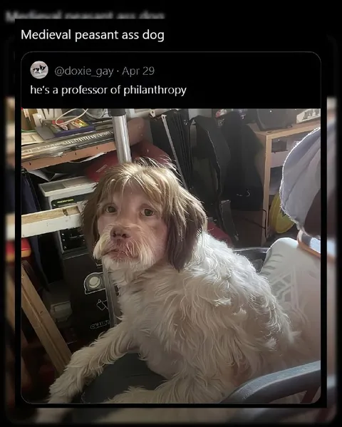 Medieval Peasant Ass Dog