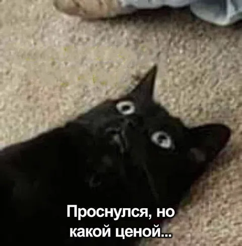 Проснулся, но какой ценой