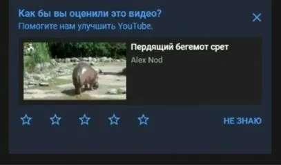 Оценка видео про бегемота