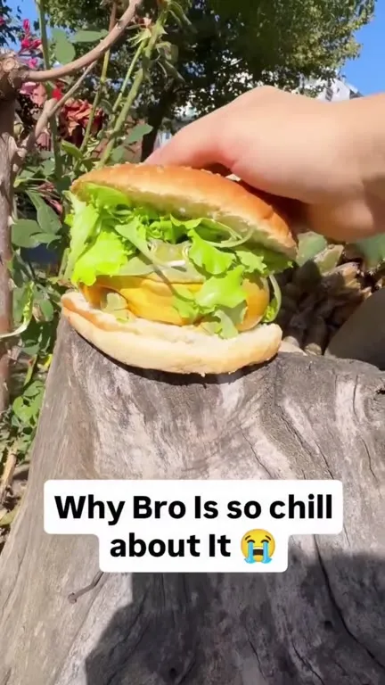 Chill Frog in a Burger