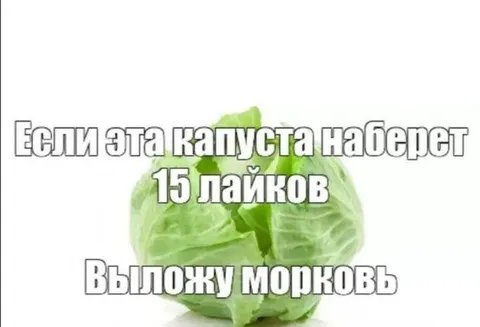 Капуста наберёт лайки