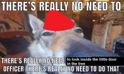 No Need to Look Inside the Tree