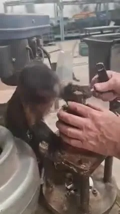 Обезьяна чинит станок