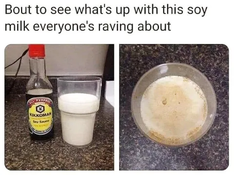 Soy Milk Taste Test