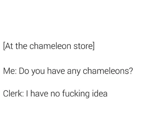 Chameleon Store Confusion