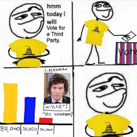 Third Party Vote Winner