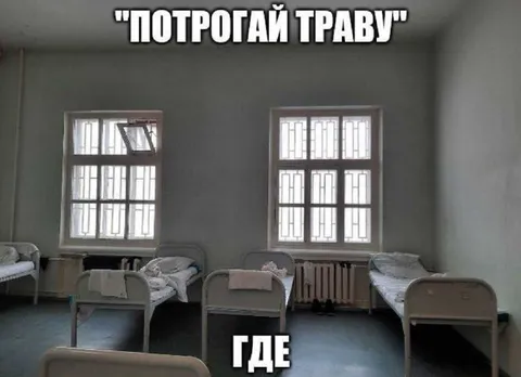 Потрогай траву, где она