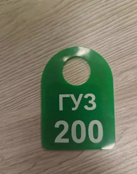 Зелёный жетон ГУЗ 200