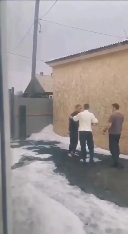 Собака стягивает штаны
