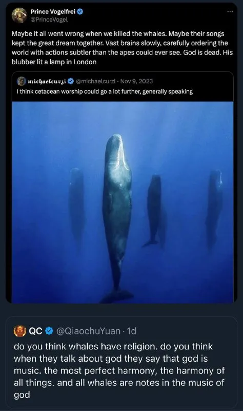 Whales Have Religion