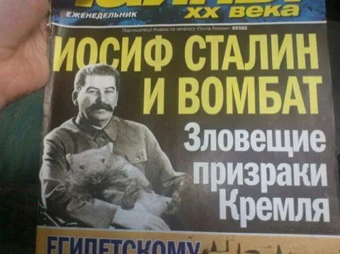 Сталин и вомбат