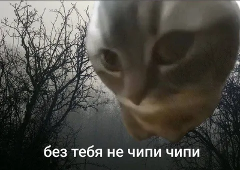 Без тебя не чипи чипи