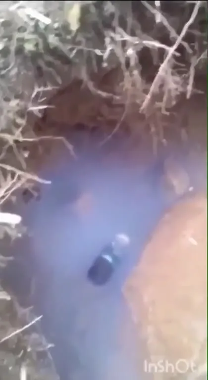 Вспышка в мутной воде